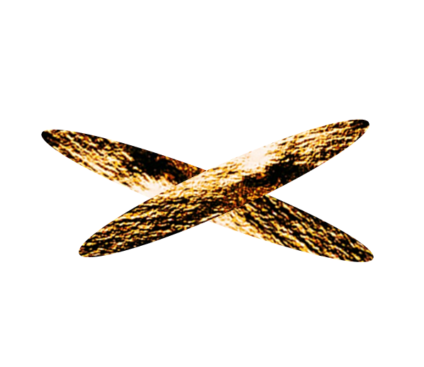 golden X 02